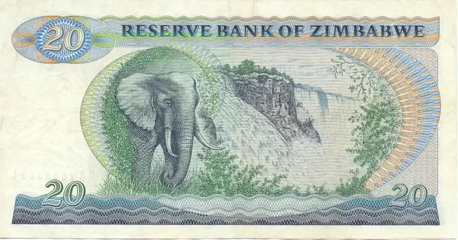 Zimbabwe Dollar : 津巴布韦元