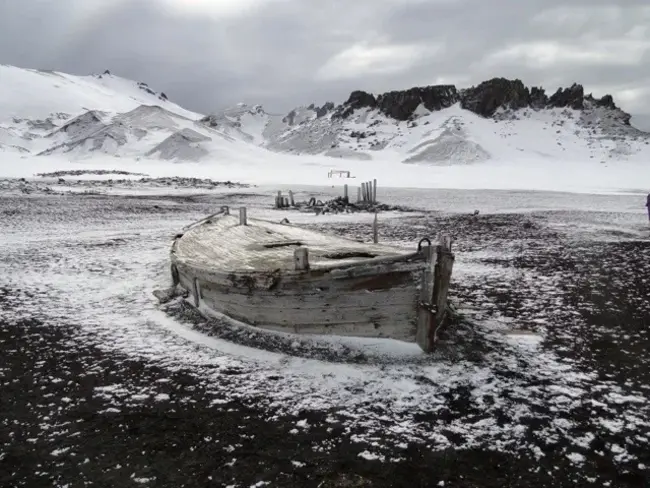 Bouvet Island : 布韦岛