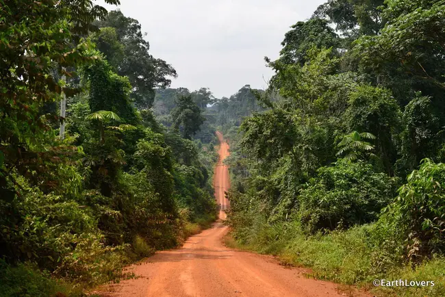 Congo : 刚果