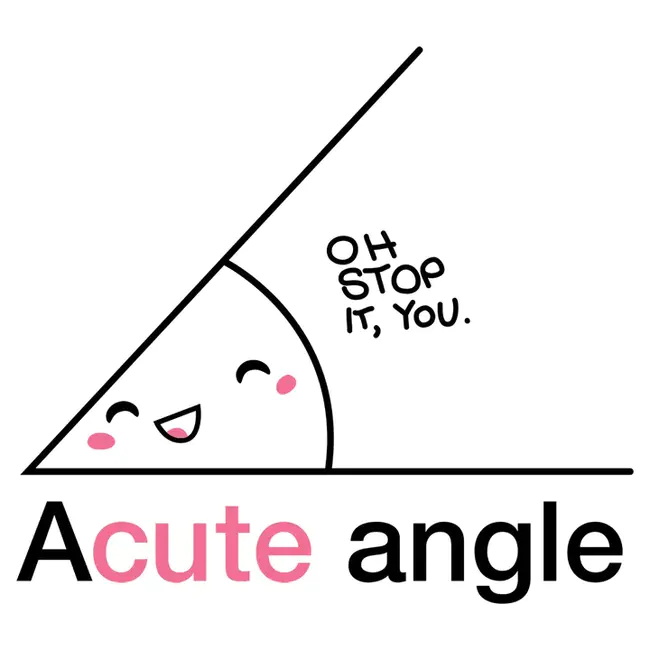 Acute : 急性的