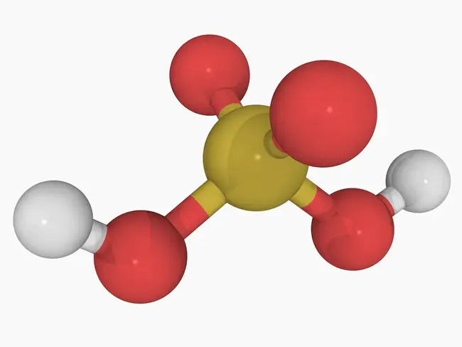 Acid Phosphatase : 酸性磷酸酶