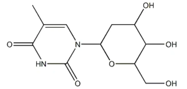 ALanine AminoTransferase : 丙氨酸转氨酶