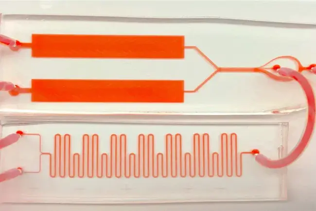 Blood Monitoring : 血液监测