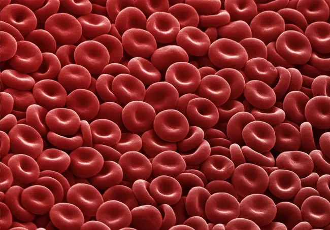 Erythrocyte Sedimentation rate : 红细胞沉降率