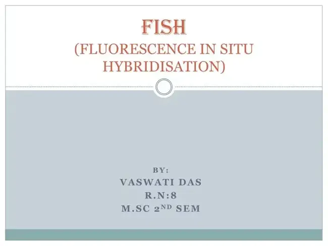 Flourescence In-Situ Hybridization : 荧光原位杂交