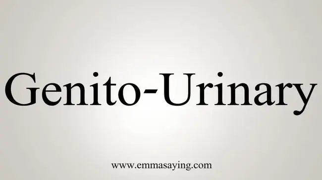 Genito Urinary : 泌尿生殖道的