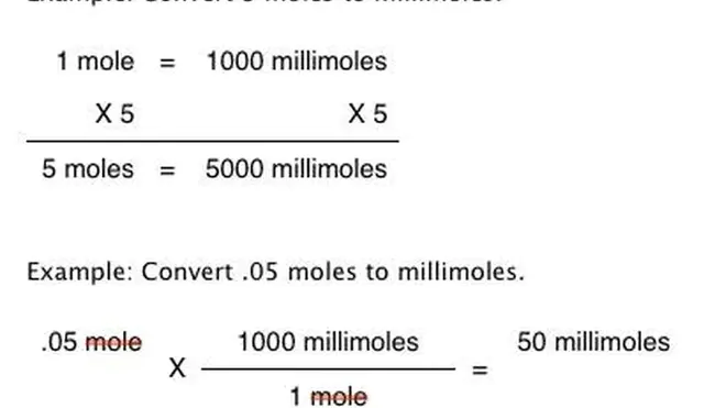 MilliMole : 毫摩尔