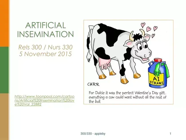 Artificial Insemination : 人工授精