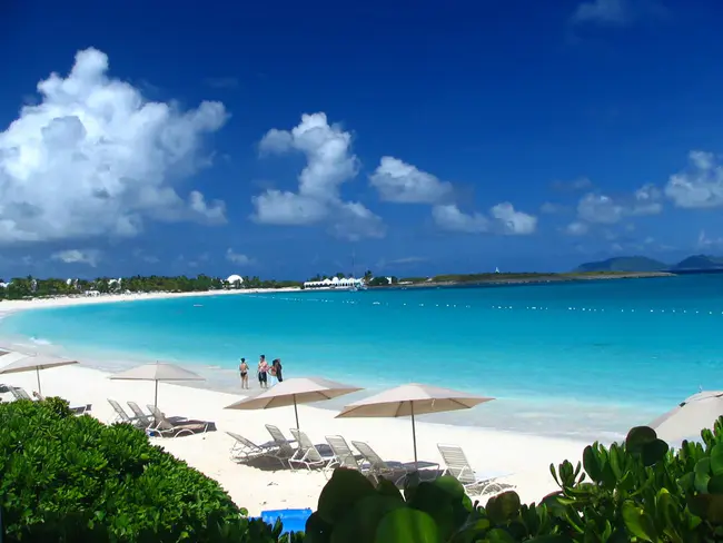 Anguilla : 鳗鲡