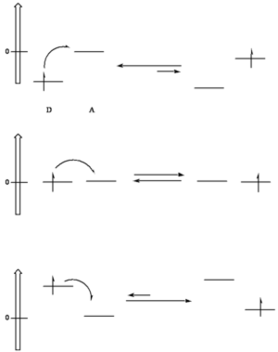 Donor-Acceptor Pair : 供体-受体对