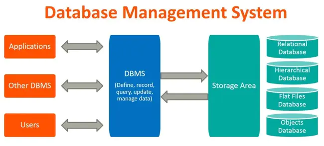 DataBase Management System : 数据库管理系统