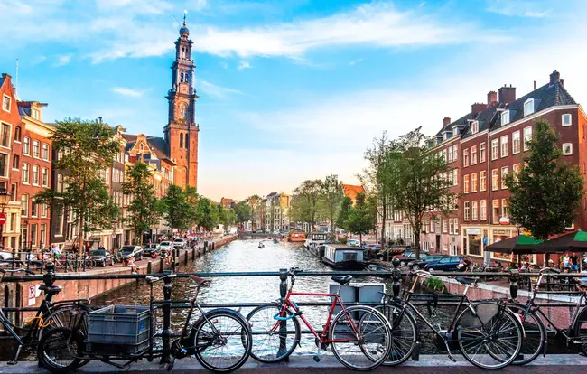 Amsterdam Interprofessional Market : 阿姆斯特丹跨专业市场