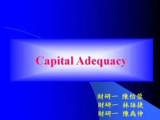 Capital Adequacy Directive : 资本充足指引