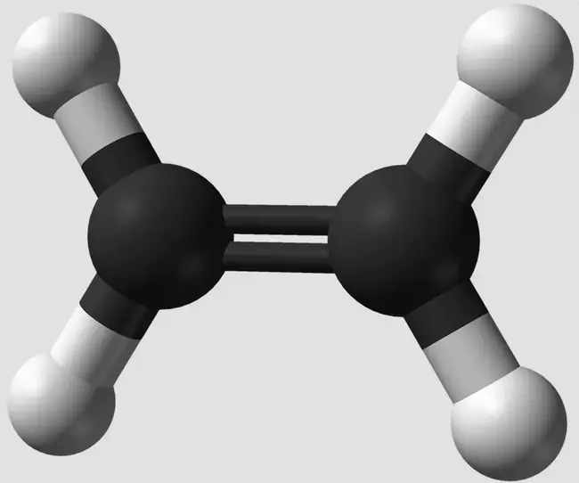 Ethylene Glycol Ether : 乙二醇醚