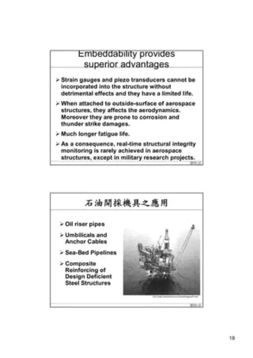 Fiber Optic Chemical Sensor : 光纤化学传感器