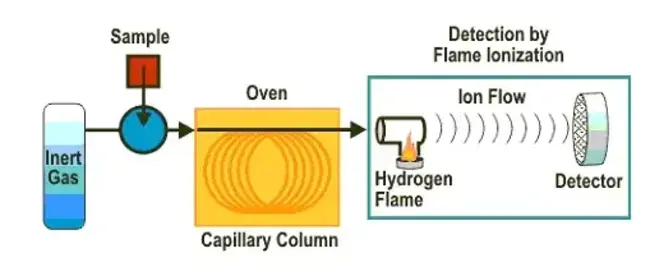 Gas Chromatography : 气相色谱法