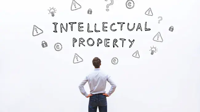 Intellectual Property : 知识产权