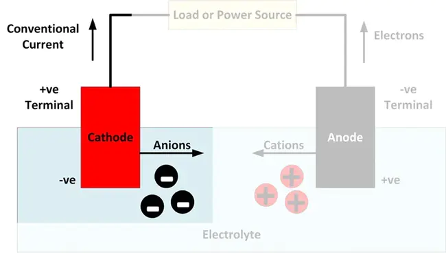 Cathode : 阴极