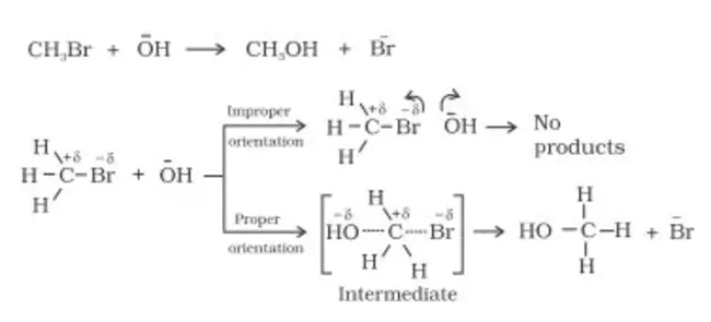 Latex Sphere Equivalent : 等效乳胶球