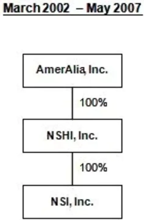 Ameralia, Incorporated (de-listed) : Ameralia公司（减上市）