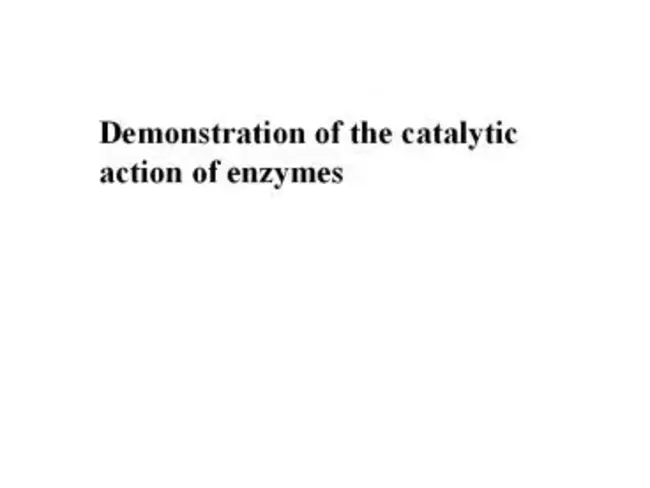 Photo Catalytic Oxidation : 光催化氧化
