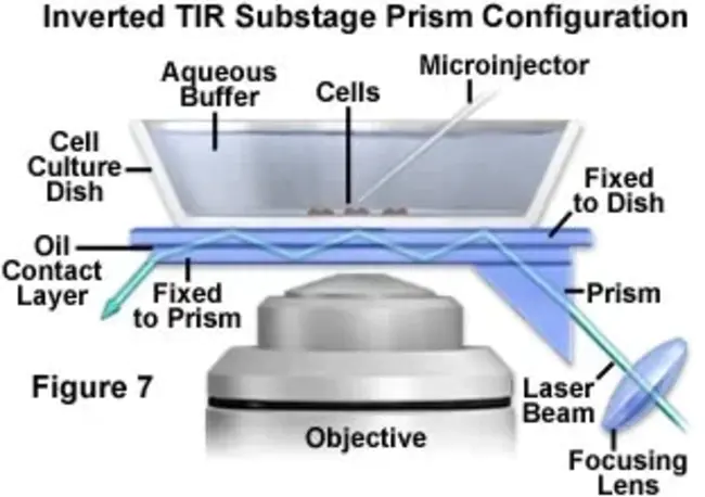 Reflection Electron Microscopy : 反射电子显微镜