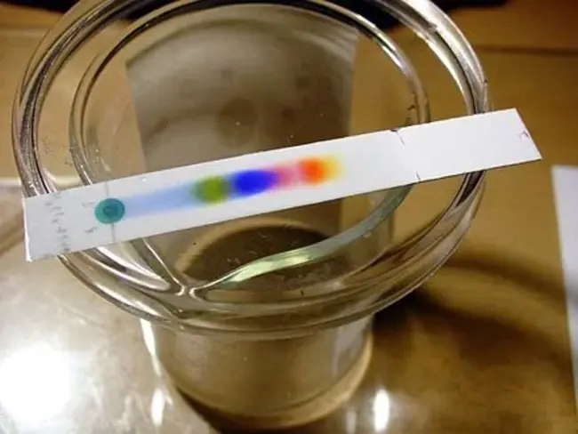 Thin Layer Chromatography : 薄层色谱法