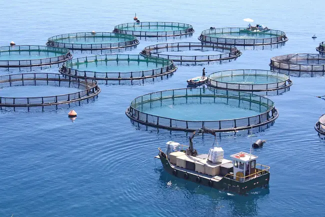 Aquaculture Production Technologies : 水产养殖生产技术