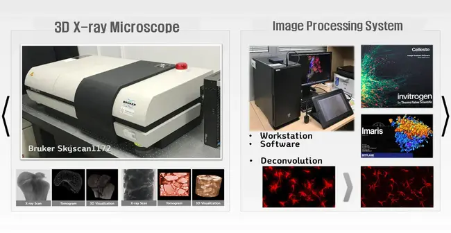 Bio-Imaging Technologies : 生物成像技术