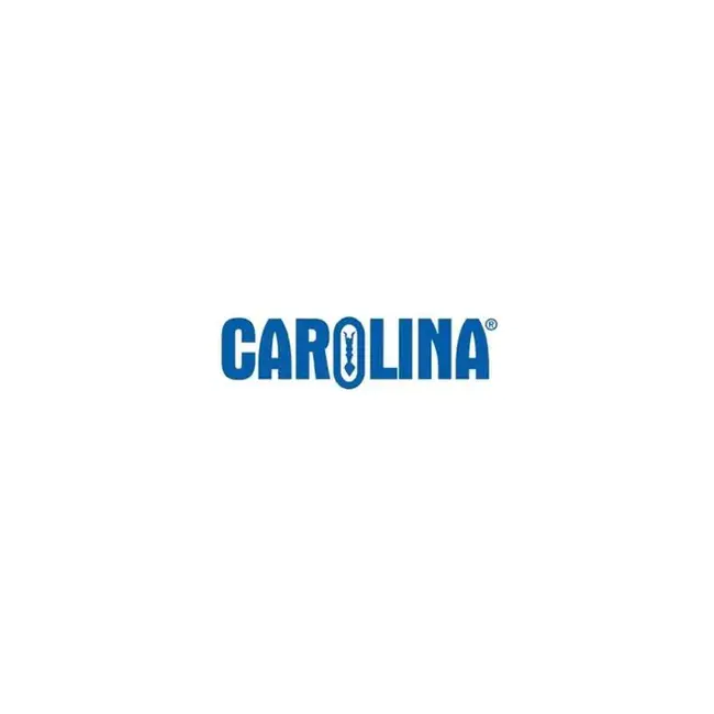 Carolina Southern Bank : 卡罗莱纳南方银行