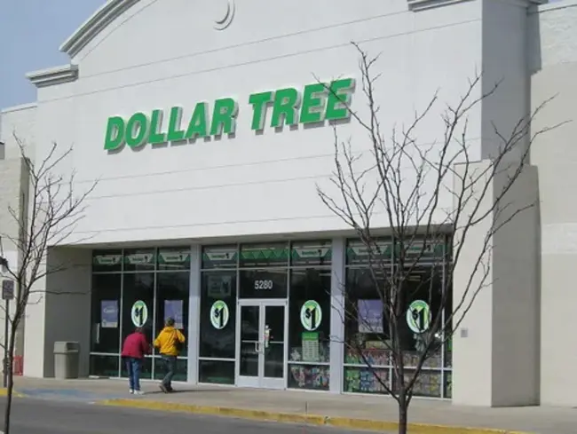 Dollar Tree Stores, Inc. : 美元树商店有限公司