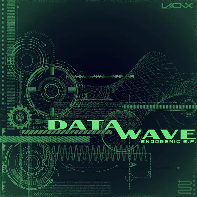 Datawave Systems, Inc. : Datawave 系统公司