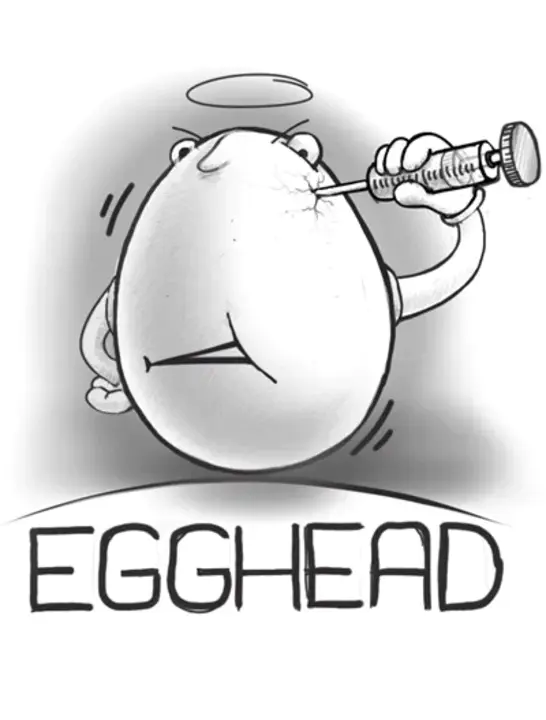 Egghead.com, Inc. : egghead.com公司