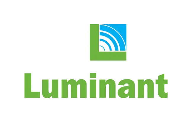 Luminant Worldwide Corporation : Luminant Worldwide公司