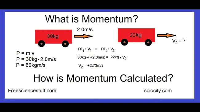 Momentum Business Applications : 动量业务应用程序