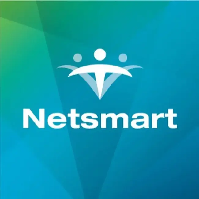 NetSmart Technologies, Inc. : 网智科技公司