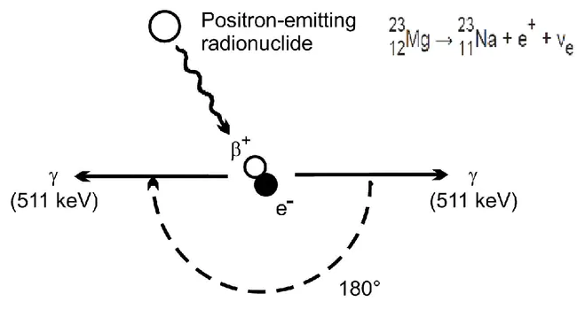 Positron Corporation Warrants (de-listed) : Positron 公司认股权证（已除牌）