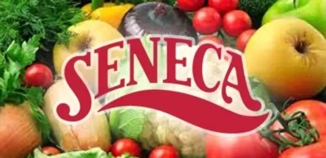 Seneca Foods Corporation Class B : 塞内卡食品公司 B 类