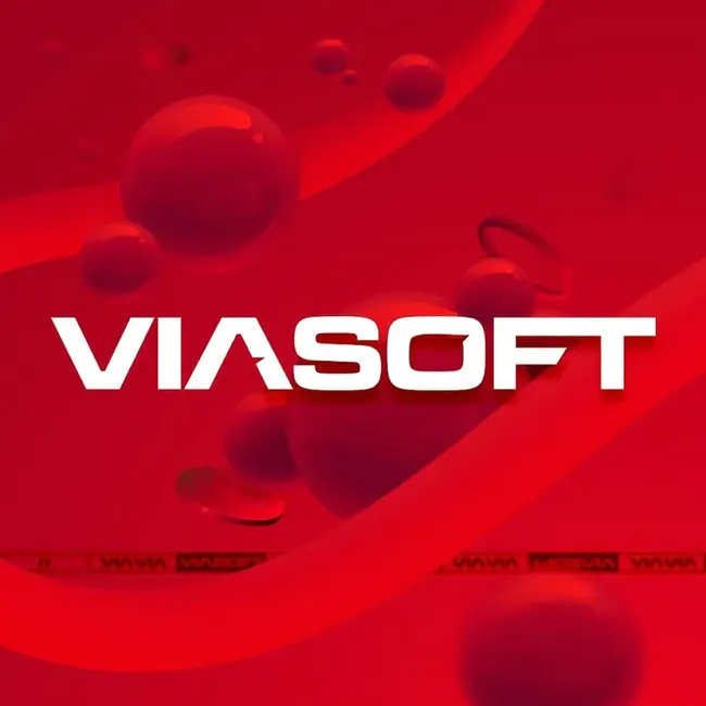 Viasoft, Inc. : 维亚索夫公司