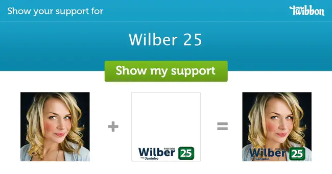 Wilber Corporation : 威尔伯公司