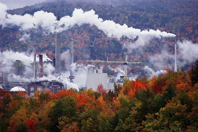 W S I Industries, Inc. : W S I工业公司