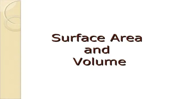 Surface Area : 表面积