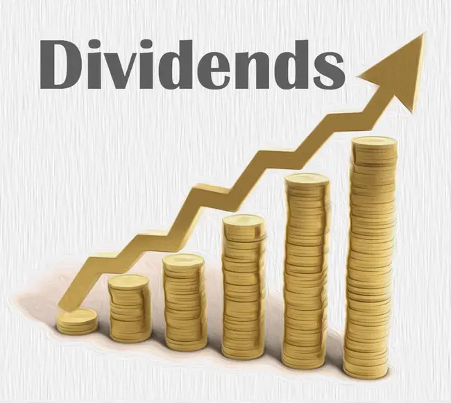 Dividend Settlement Service : 股息结算服务