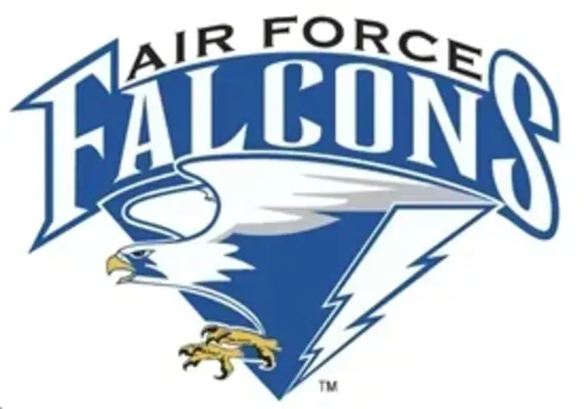 Air Force Communications Command : 空军通信司令部