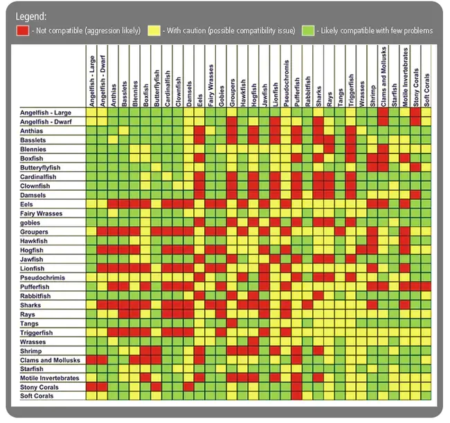 Compatibility and Interoperability : 兼容性和互用性