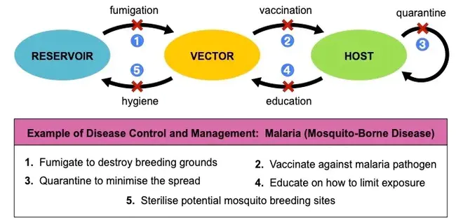 Disease Control Priorities : 疾病控制优先事项