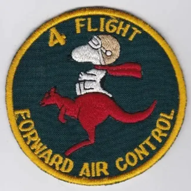 Forward Area Air Defense : 前方区域防空