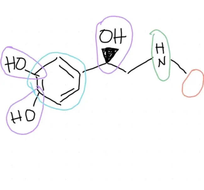 Functional Coordinating Group : 职能协调组