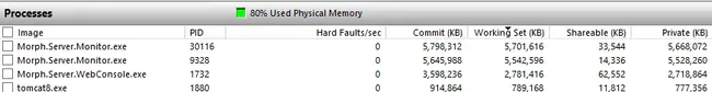 Program Element Monitor : 程序元素监视器