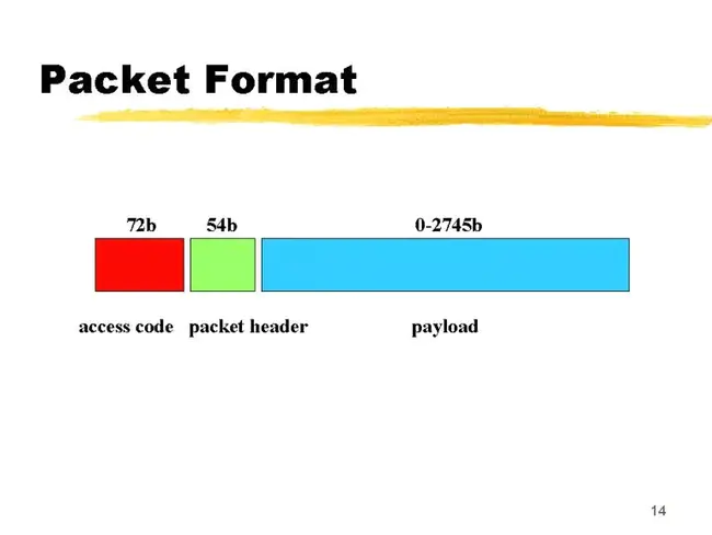 Packet Level Protocol : 包级协议